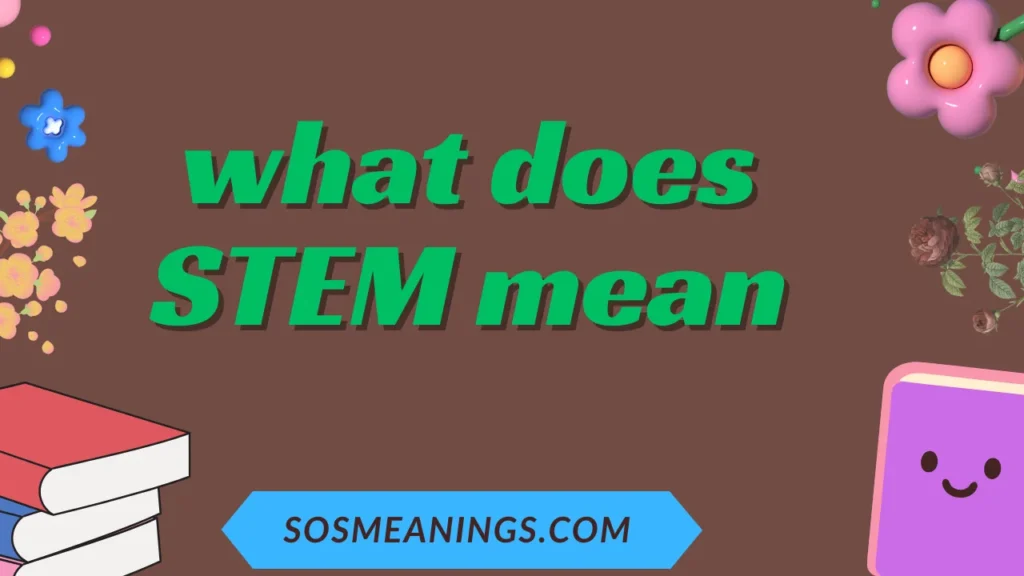 what does STEM mean