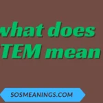 what does STEM mean