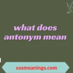 what does antonym mean