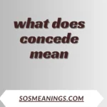 what does concede mean