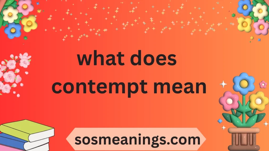 what does contempt mean