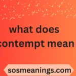 what does contempt mean