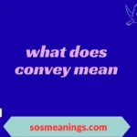 what does convey mean