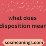 what does disposition mean