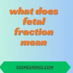 what does fetal fraction mean