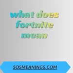 what does fortnite mean