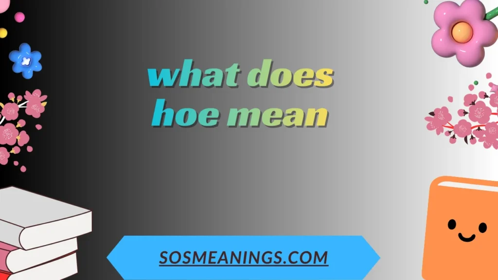 what does hoe mean