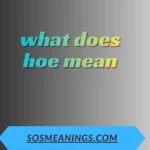 what does hoe mean