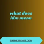 what does idm mean