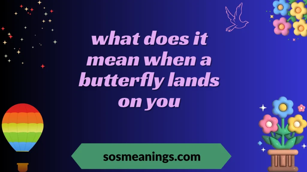 what does it mean when a butterfly lands on you