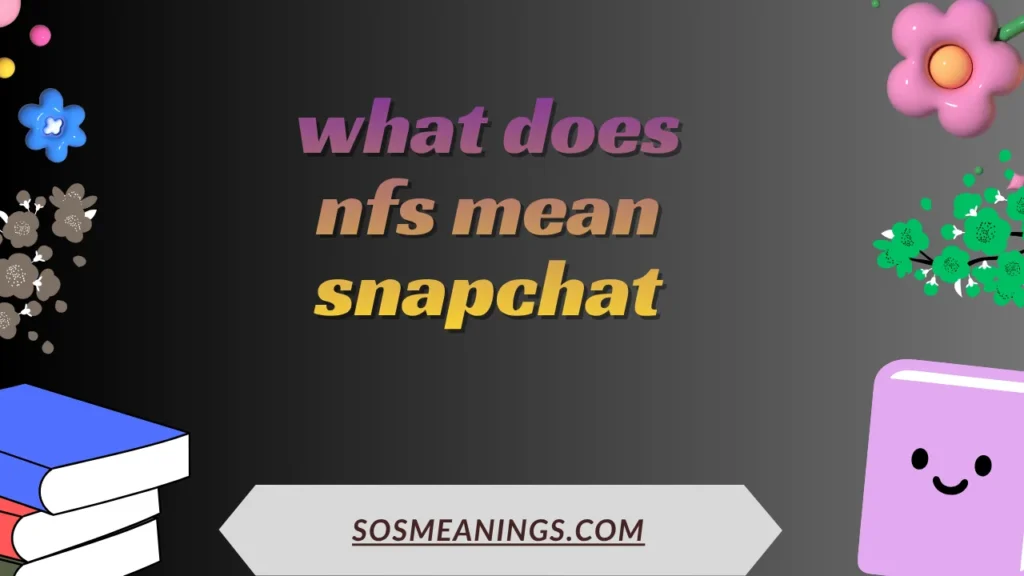 what does nfs mean snapchat