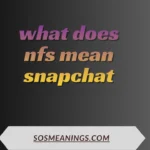 what does nfs mean snapchat
