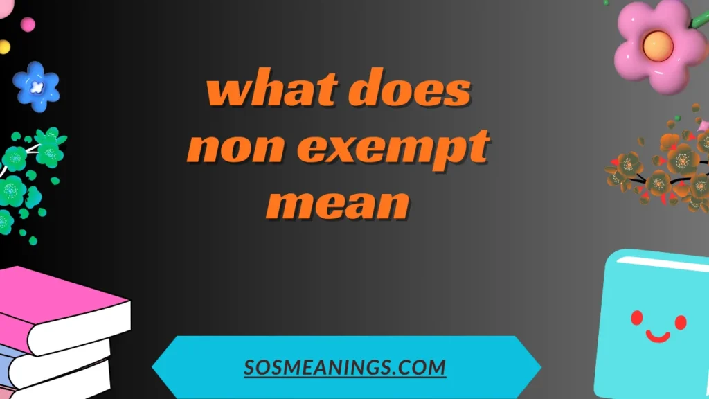 what does non exempt mean