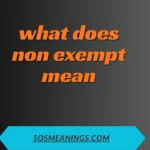 what does non exempt mean