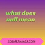 what does null mean