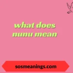 what does nunu mean