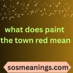 what does paint the town red mean
