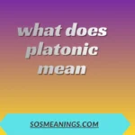 what does platonic mean
