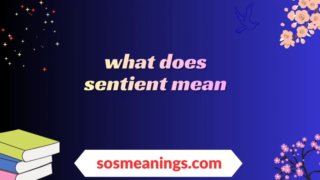 what does sentient mean