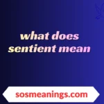 what does sentient mean