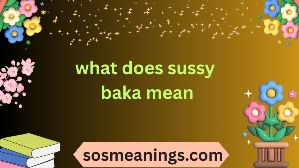 what does sussy baka mean