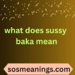 what does sussy baka mean