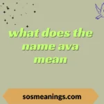 what does the name ava mean