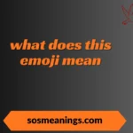 what does this emoji mean