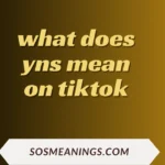 what does yns mean on tiktok