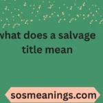 what does a salvage title mean