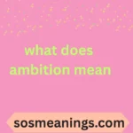 what does ambition mean