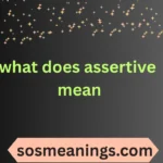what does assertive mean