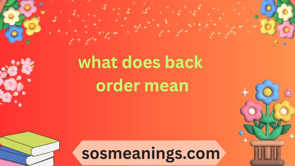 what does back order mean