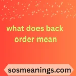 what does back order mean