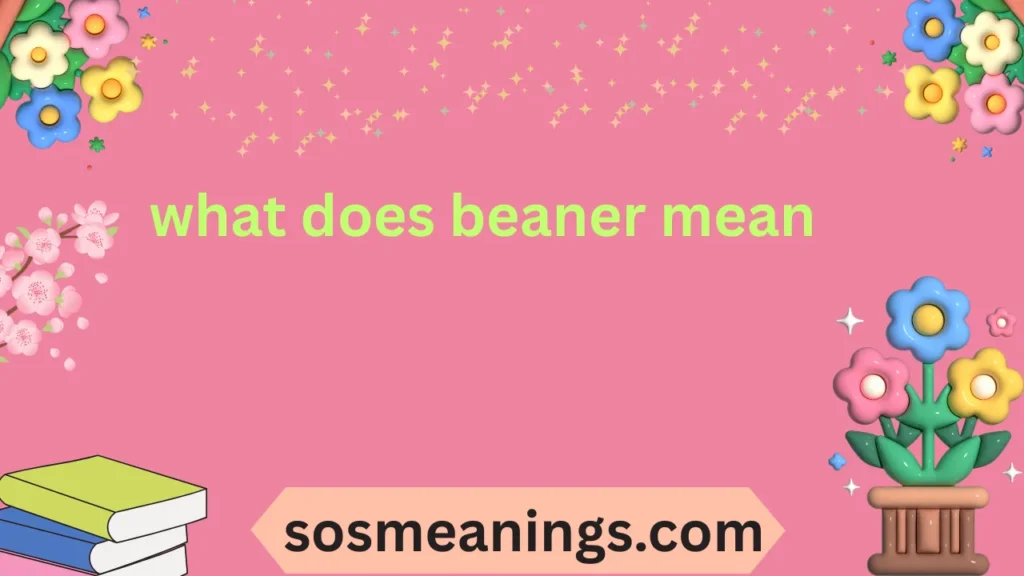 what does beaner mean