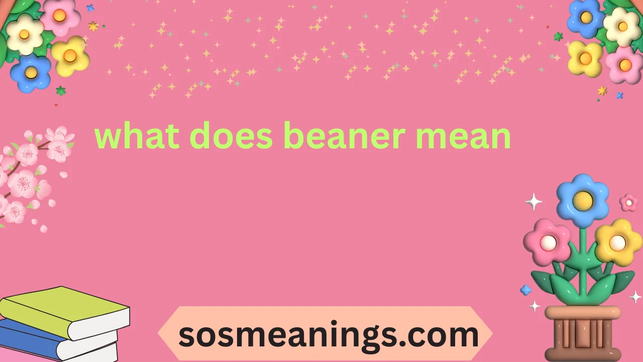 Beaner Meaning Explained Clearly 2025-26
