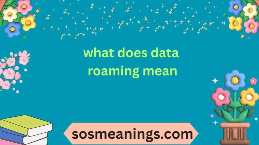 what does data roaming mean