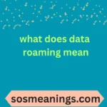 what does data roaming mean