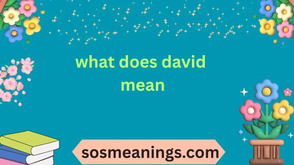 what does david mean
