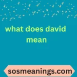 what does david mean