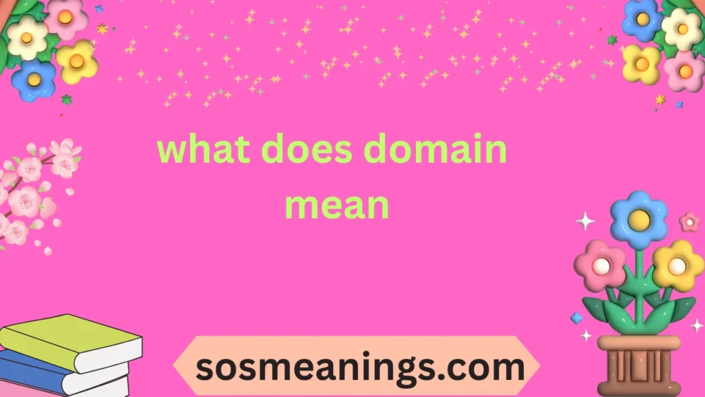 what does domain mean