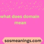 what does domain mean