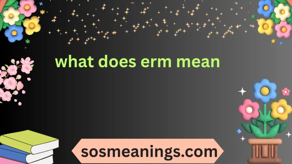 what does erm mean
