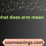 what does erm mean
