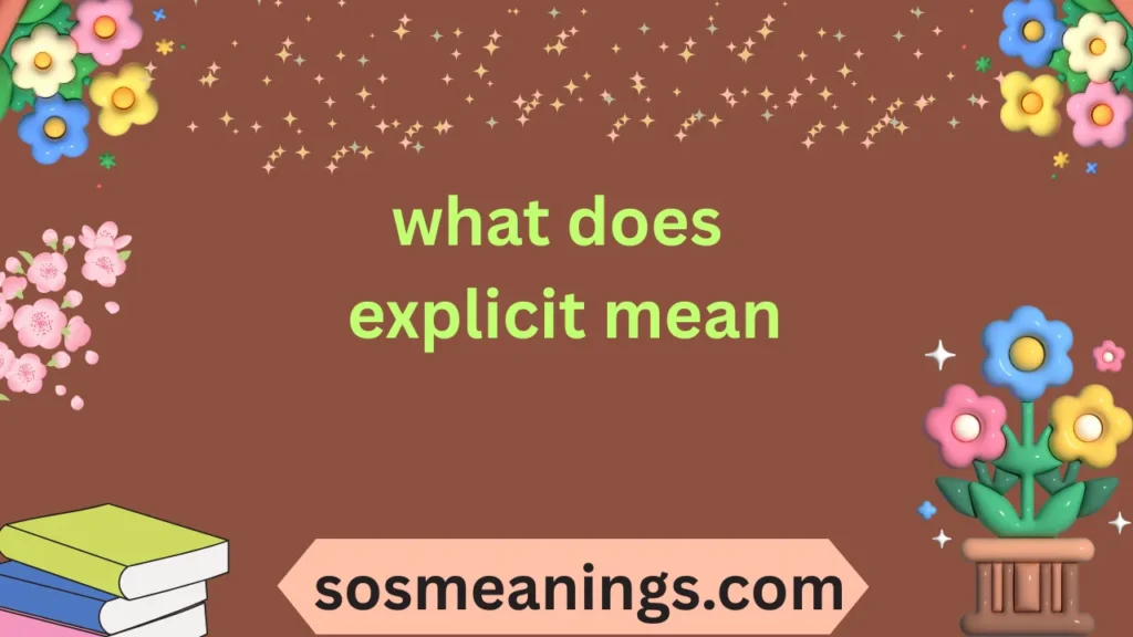 what does explicit mean