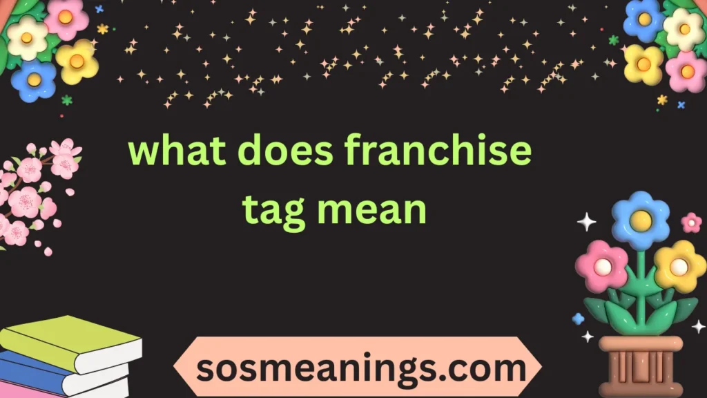 what does franchise tag mean