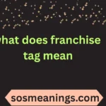 what does franchise tag mean