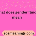 what does gender fluid mean