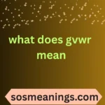 what does gvwr mean