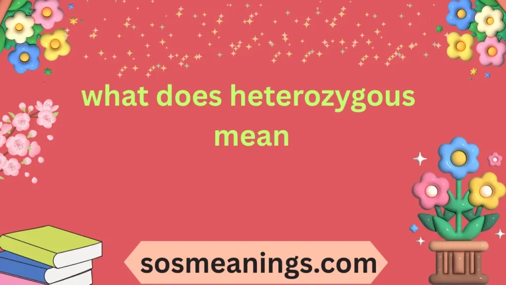 what does heterozygous mean